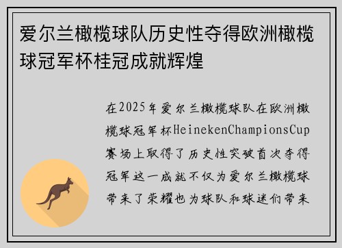 爱尔兰橄榄球队历史性夺得欧洲橄榄球冠军杯桂冠成就辉煌
